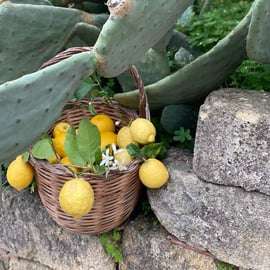 Limoncello-workshop Palermo met Siciliaanse barbecue