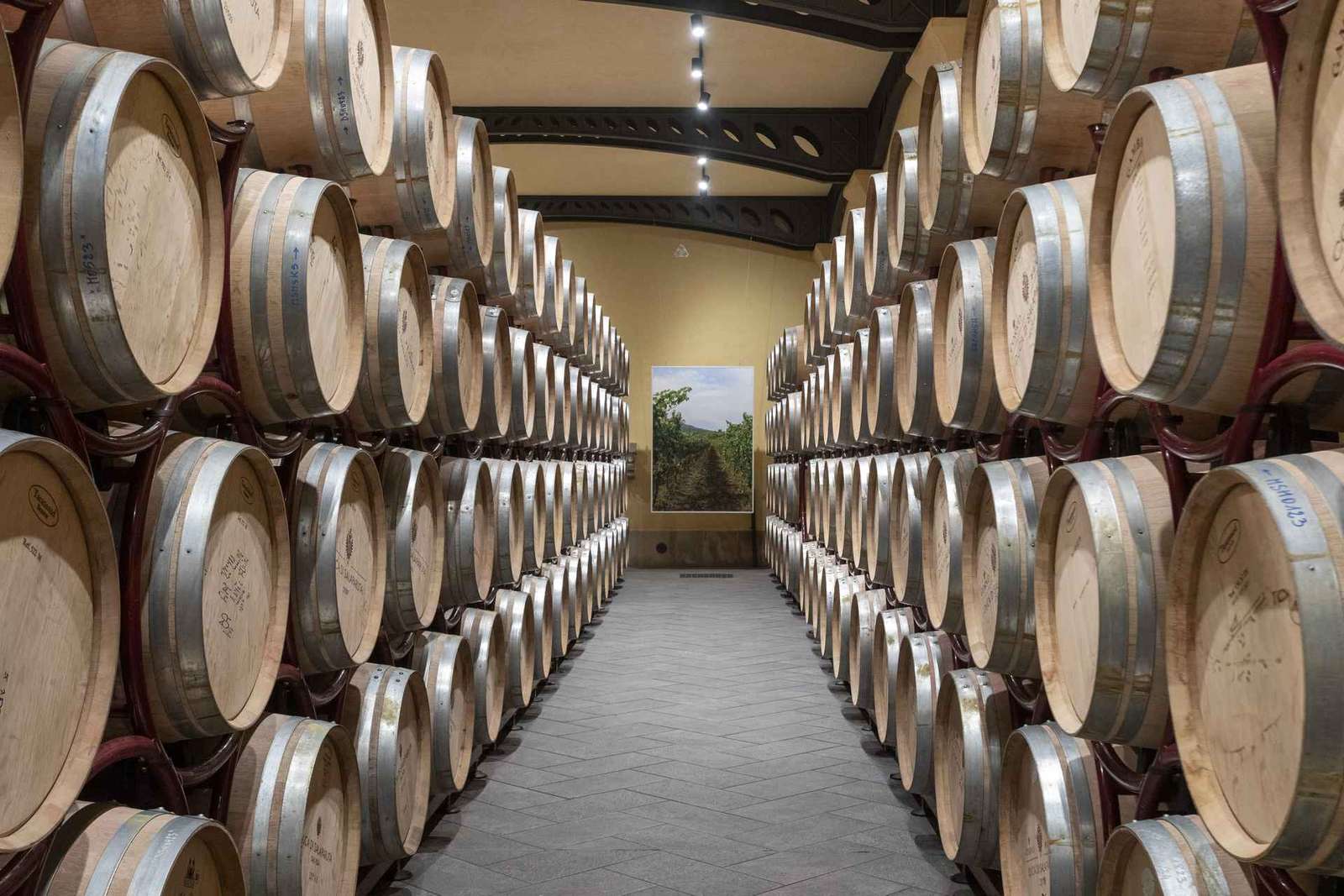 Tour and tasting at the Duca di Salaparuta estates