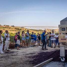 Degustazione di vini e amaro in una cantina di Alcamo