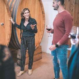 Partinico: Historic Sicilian Vineyard & Wine Tasting Tour