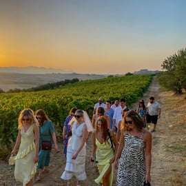 Alcamo: Natural Wine & Olive Oil Tasting - Sicily