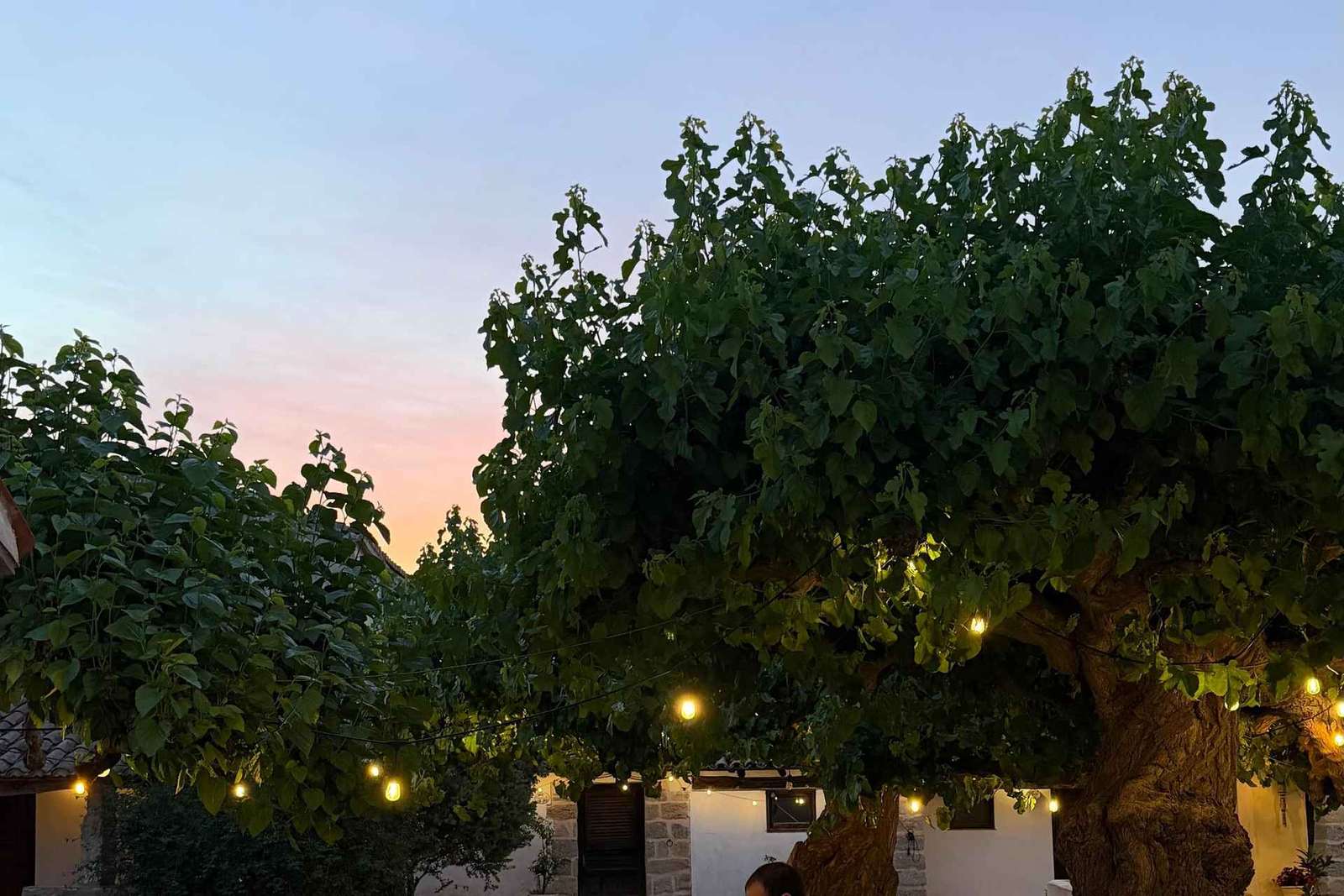 Traditional Sicilian Dinner at Villa Chiarelli Manostalla