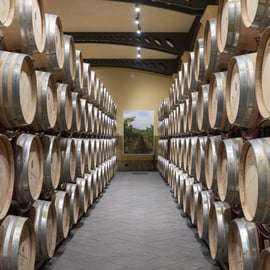 Tour and tasting at the Duca di Salaparuta estates