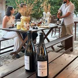 Bodega en Alcamo: visita, cata y comida de cuatro platos
