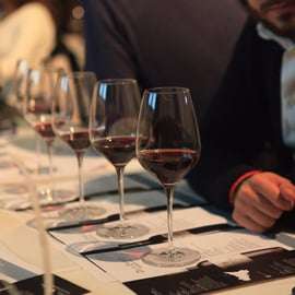 Tour and tasting at the Duca di Salaparuta estates