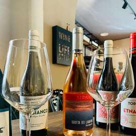 Palermo: Etna Experience - Wine tasting e food pairing
