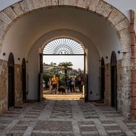 Cata de vinos en Chiarelli Rossotti, Alcamo
