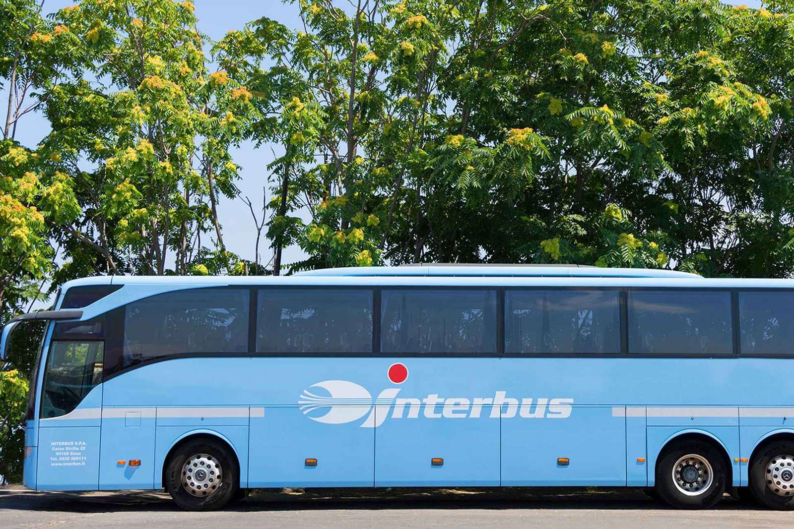 Syracuse: Bus Transfer to/from Palermo Bus station