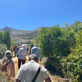 Likeurfabriek Palermo: citrusboomgaard en Jacli-proeverij