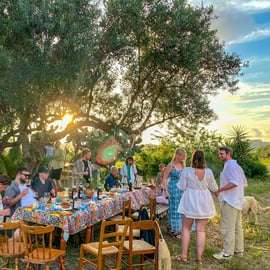 Alcamo: Natural Wine & Olive Oil Tasting - Sicily