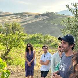 Alcamo: Natural Wine & Olive Oil Tasting - Sicily
