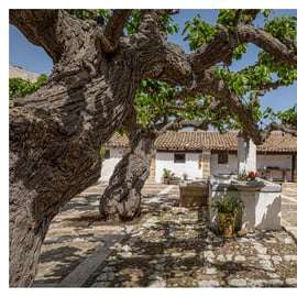 Bodega en Alcamo: visita, cata y comida de cuatro platos