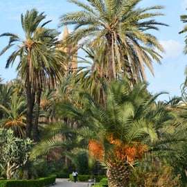 Palermo: Wandeltour Kunst en Architectuur