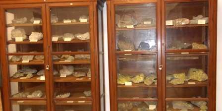 ITG Natural Science Museum "Filippo Parlatore"