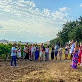 Alcamo: Natural Wine & Olive Oil Tasting - Sicily