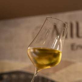 Sicilian Wine Tasting in Palermo, No Experience Needed