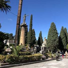Oltre il velo: Catacombe e cimiteri di Palermo
