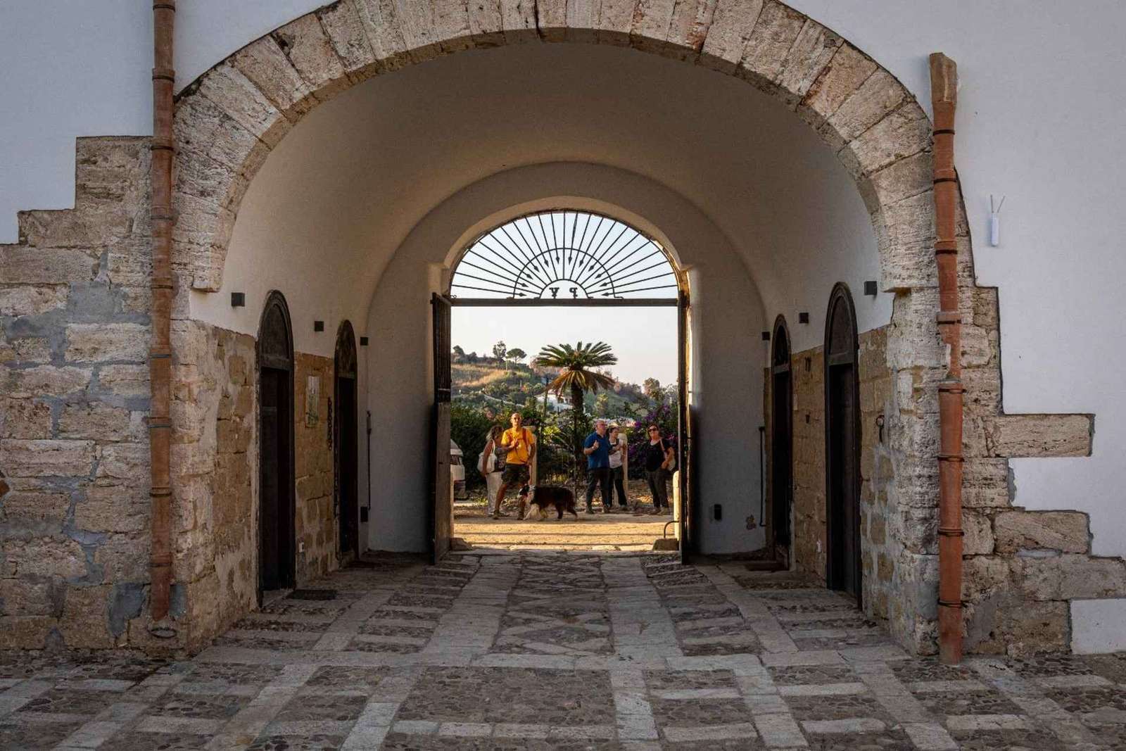 Cata de vinos en Chiarelli Rossotti, Alcamo